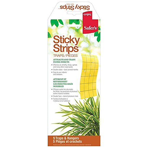 Safer's Sticky Strips 5 Pack