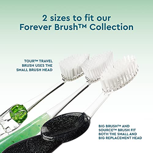 RADIUS Replacement Brush Heads for Soft Bristles 2-Count Improve Gum Health & Reduce Gum Issues - Pack of 3, Clear